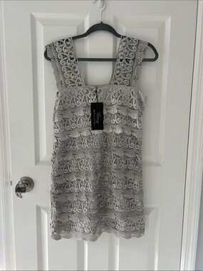 NWT Etrog Elegant Silver Lace Sleeveless Dress